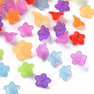 Transparent Acrylic Beads, Flower, Frosted, Mixed Color, 10x5mm, Hole: 1mm, about 4600pcs/500g(PL554-M)