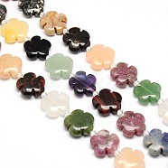 Mixed Natural Gemstone Flower Beads Strands, 20x6.5mm, Hole: 1mm, about 20pcs/strand, 16.53 inch(G-L241A-07)