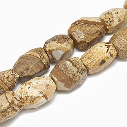 Natural Picture Jasper Beads Strands, Nuggets, 19~23x15~18mm, Hole: 2mm, about 19pcs/strand, 15.3 inch(G-S308-01)