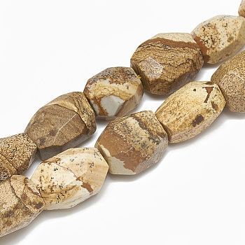 Natural Picture Jasper Beads Strands, Nuggets, 19~23x15~18mm, Hole: 2mm, about 19pcs/strand, 15.3 inch