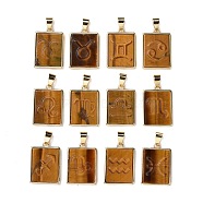 12Pcs 12 Styles Natural Tiger Eye Pendants, Rectangle Charms with Twelve Constellations, with Rack Plating Light Gold Tone Brass Findings, Cadmium Free & Lead Free, 22x16x3.5mm, Hole: 6x4mm, 1pc/style(G-B025-01LG-03)
