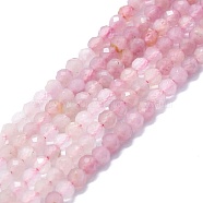 Natural Pink Tourmaline Beads Strands, Faceted, Round, 3mm, Hole: 0.7mm, about 132pcs/strand, 15.16''~15.55''(38.5~39.5cm)(G-P457-A02-14H)