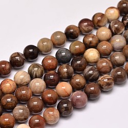 Natural Petrified Wood Round Bead Strands, 8mm, Hole: 1mm, about 47pcs/strand, 15 inch(X-G-F266-08-8mm)