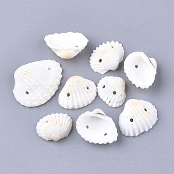 Shell Links connectors, Shell, White, 12~20x15~25x5~8mm, Hole: 1.2mm(SSHEL-S251-13)