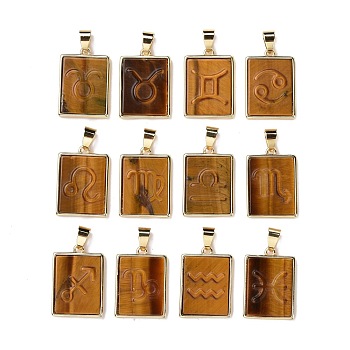 12Pcs 12 Styles Natural Tiger Eye Pendants, Rectangle Charms with Twelve Constellations, with Rack Plating Light Gold Tone Brass Findings, Cadmium Free & Lead Free, 22x16x3.5mm, Hole: 6x4mm, 1pc/style