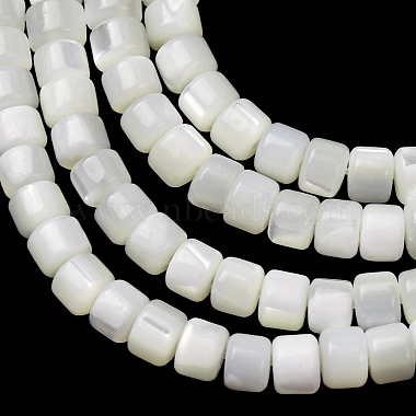 Natural Trochid Shell/Trochus Shell Beads Strands(SH-CBA2978-18A)-2