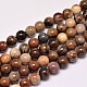 Natural Petrified Wood Round Bead Strands(X-G-F266-08-8mm)-1
