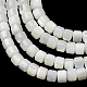Natural Trochid Shell/Trochus Shell Beads Strands(SH-CBA2978-18A)-2