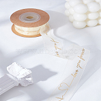 Organza Ribbons, for Gift Wrapping, Valentine's Day, Wedding, Birthday Party Decorate, Word, 1 inch(25mm), about 10.94 Yards(10m)/Roll(SRIB-LP0001-08A)
