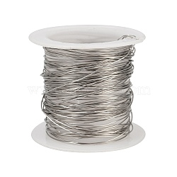 304 Stainless Steel Wire, Round, Stainless Steel Color, 0.5mm, 24 Gauge(STAS-A115-01P-0.5mm)