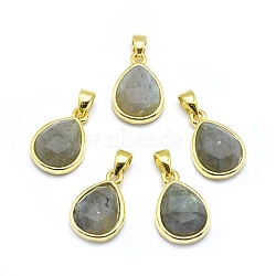 Natural Labradorite Pendants, with Golden Tone Brass Findings, teardrop, Faceted, 14.5x9.5x5mm, Hole: 2.5x3.5mm(G-O176J-07G)
