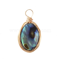Natural Abalone Shell/Paua Shell Pendants, with Copper Wire, Oval, 19x10x3mm, Hole: 3mm(X-PALLOY-JF00457-02)