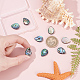 8Pcs Natural Abalone Shell/Paua Shell Beads(SHEL-HY0001-18)-3