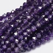 Faceted Natural Amethyst Beads Strands, Star Cut Round Beads, 6x5mm, Hole: 1mm, about 67pcs/strand, 15.7 inch(G-K066-09-6mm)