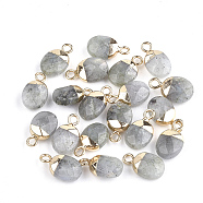 Electroplate Natural Labradorite Charms, with Iron Findings, Faceted, Oval, Golden, 14~15x8x5~5.5mm, Hole: 1.8mm(X-G-S344-09D)