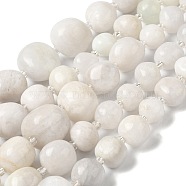 Natural White Moonstone Beads Strands, with Seed Beads, Nuggets, Tumbled Stone, 5~11x5~15mm, Hole: 1.2mm, about 39pcs/strand, 15.55''(39.5cm)(G-Q169-E08-01)