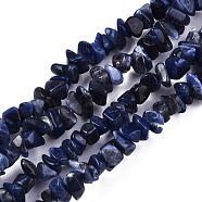 Natural Sodalite Beads Strands, Chip, 3~8x3~8x2~6mm, Hole: 0.8mm, about 340~355pcs/strand, 35.43 inch(90cm)(X-G-S364-080)