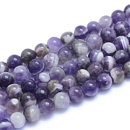 Natural Amethyst Beads Strands, Round, 8~8.5mm, Hole: 0.8mm, about 50pcs/strand, 15.55 inch(39.5cm)(G-L552H-03B)