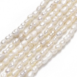 Natural Cultured Freshwater Pearl Beads Strands, Rice, Linen, 1.7~2x2.3~3mm, Hole: 0.5mm, about 65pcs/strand, 12.80~12.99 inch(32.5~33cm)(PEAR-J006-01A)