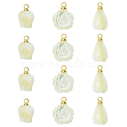12Pcs 3 Styles Natural Shell Carved Flower Charms, with Brass Bails, Floral White, Golden, 11.5~13.5x7.5~10.5x5~8mm, Hole: 1.2~1.4mm, 4pcs/style(KK-CJ0003-83)
