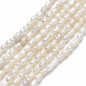 Natural Cultured Freshwater Pearl Beads Strands, Rice, Linen, 1.7~2x2.3~3mm, Hole: 0.5mm, about 65pcs/strand, 12.80~12.99 inch(32.5~33cm)