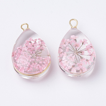 Glass Pendants, with Dried Flower Inside & Brass Findings, teardrop, Golden, Pink, 22~24x13x8mm, Hole: 2mm