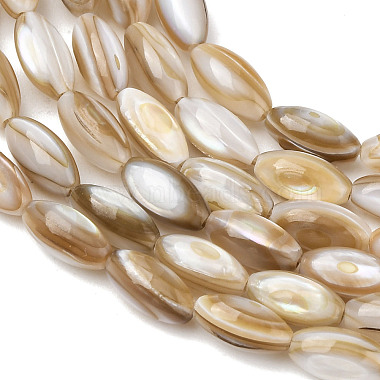 Natural Freshwater Shell Beads Strands(SHEL-K006-78A)-3