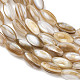 Natural Freshwater Shell Beads Strands(SHEL-K006-78A)-3