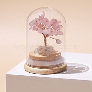 Natural Rose Quartz Chips Tree of Life Decorations, Mini Wooden & Glass Base with Copper Wire Feng Shui Energy Stone Gift for Home Office Desktop Decoration, 52x77mm(TREE-PW0003-24B)