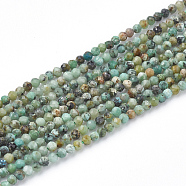 Natural African Turquoise(Jasper) Beads Strands, Faceted Round, 3mm, Hole: 0.5mm, about 138pcs/strand, 15.5 inch(G-T064-18-3mm)