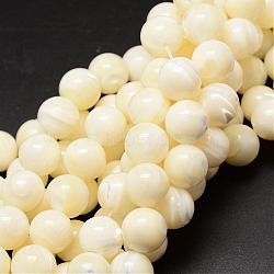 Natural Sea Shell Beads Strands, Round, Creamy White, 12mm, Hole: 1mm, about 33pcs/strand, 15.75 inch(SSHEL-K013-12mm-A)