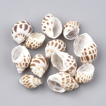 Spiral Shell Beads, No Hole/Undrilled, Camel, 20~33.6x13~23x10~20mm