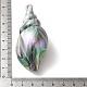 placage de pendentifs acryliques irisés uv(OACR-B020-07)-3