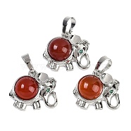 Natural Carnelian(Dyed & Heated) Pendants, Rack Plating Brass Rhinestone Elephant Charms, Platinum, Cadmium Free & Lead Free, , 17.5x20.5x8mm, Hole: 5x8mm(G-I374-A-P04)