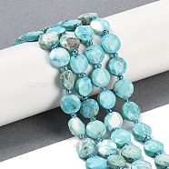 Dyed Natural Howlite Beads Strands, Faceted Pentagonal Cut, Flat Round, with Seed Beads, Cyan, 10~10.5x5~6mm, Hole: 1mm, about 32~33pcs/strand, 15.75''(40cm)(G-C116-A63-01)