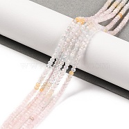 Natural Morganite Beads Strands, Faceted, Rondelle, 3x2mm, Hole: 0.8mm, about 175pcs/strand, 15.35 inch(39cm)(G-F770-D04-02)