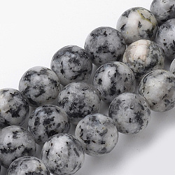Natural Black Spot Stone Beads Strands, Round, 6mm, Hole: 1mm, about 70pcs/strand, 15.7 inch(G-S272-05-6mm)