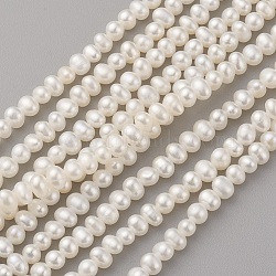 Natural Cultured Freshwater Pearl Beads Strands, Potato, Seashell Color, 4x3~3.5mm, Hole: 0.5mm, about 99pcs/strand, 14.17 inch(36cm)(PEAR-G007-36)
