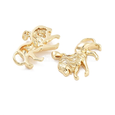 Lion Rack Plating Brass Pendants(KK-G512-14G)-2