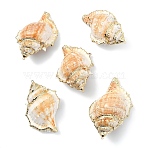 5Pcs Natural Sea Shell Big Pendants with Golden Brass Edge, Shell Shape Charms, Seashell Color, 58~65x35~42x27~29mm, Hole: 1.6mm(BSHE-YW0001-16)
