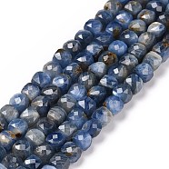 Natural Kyanite/Cyanite/Disthene Beads Strands, Faceted, Cube, 4.5x4.5x4.5mm, Hole: 0.8mm, about 83pcs/strand, 15.16 inch(38.5cm)(G-C009-B01)