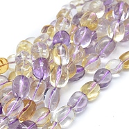 Natural Ametrine Beads Strands, Drum, 13~14x10~11mm, Hole: 1mm; about 30pcs/strand, 16.14''(41cm)(G-D0010-19B)