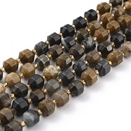 Natural Petrified Wood Beads Strands, Faceted, with Seed Beads, Polygon, 8x6mm, Hole: 1.2mm, about 40pcs/strand, 14.96 inch(38cm)(X-G-B010-01)