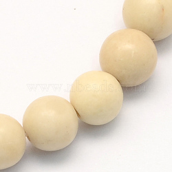 Natural Fossil Round Beads Strands, 8.5mm, Hole: 1.2mm, about 47pcs/strand, 15.5 inch(G-S171-8mm)