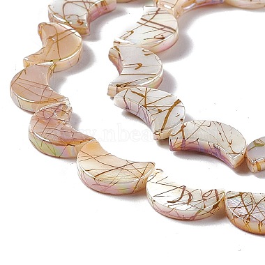 Drawbench Style Natural Freshwater Shell Beads Strands(SHEL-F003-05)-4