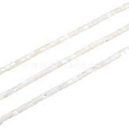 3 Strands Natural Trochid Shell/Trochus Shell Beads Strands, Bleach, Column, Seashell Color, 3.5x3.5mm, Hole: 1mm, about 111~117pcs/strand, 15.35 inch~15.94 inch(39~40.5cm)(SSHEL-FH0001-12)