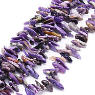 Natural Charoite Beads Strands, Nuggets, 9.5~30x4.5~7.5x1.5~5mm, Hole: 0.8mm, about 80pcs/strand, 15.75 inch(40cm)(G-E569-O03)