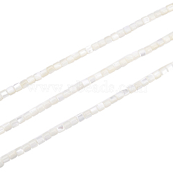 3 Strands Natural Trochid Shell/Trochus Shell Beads Strands, Bleach, Column, Seashell Color, 3.5x3.5mm, Hole: 1mm, about 111~117pcs/strand, 15.35 inch~15.94 inch(39~40.5cm)(SSHEL-FH0001-12)