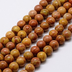 Natural Wood Lace Stone Beads Strands, Round, Brown, 6mm, Hole: 0.8mm, 63pcs/strand, 15 inch~16 inch(G-D863-6mm)
