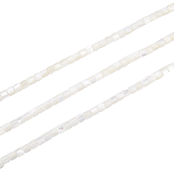 3 Strands Natural Trochid Shell/Trochus Shell Beads Strands, Bleach, Column, Seashell Color, 3.5x3.5mm, Hole: 1mm, about 111~117pcs/strand, 15.35 inch~15.94 inch(39~40.5cm)